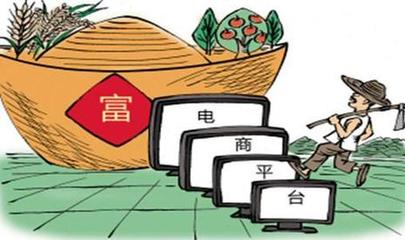 農(nóng)村電商 前景廣闊，技能為帆